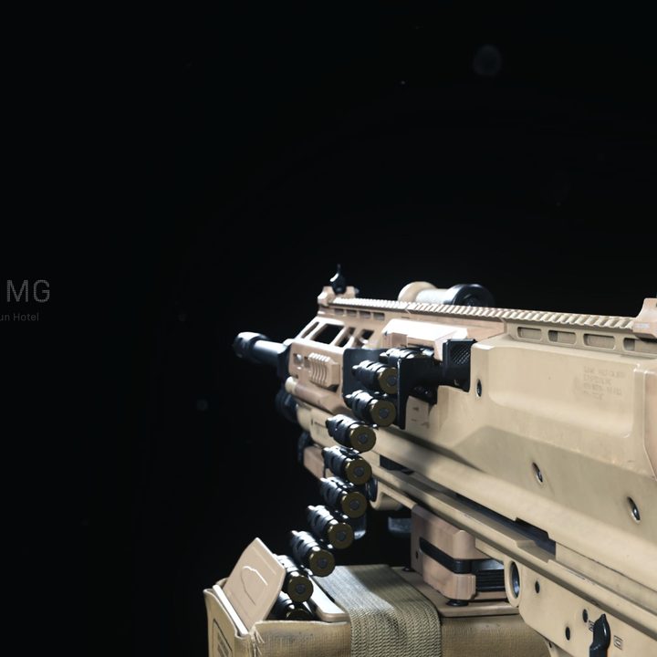 RAAL LMG in Warzone.