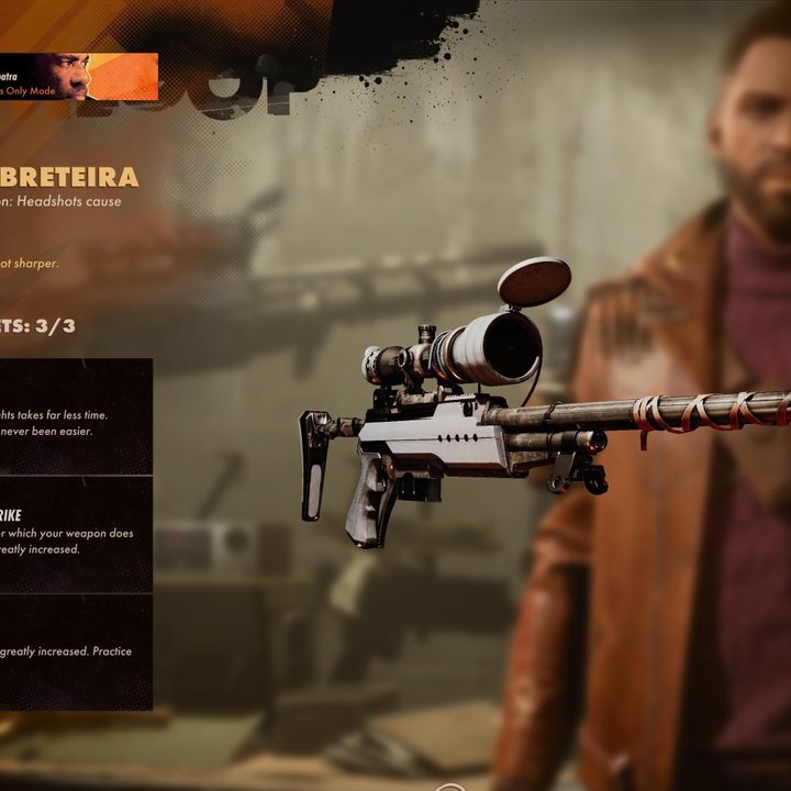 The sniper rifle from Deathloop with Trinkets.