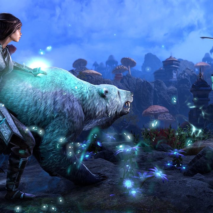 ESO Warden entering combat.