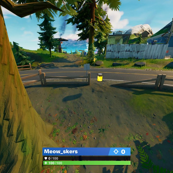 Catty Corner Color Bottle location in Fortnite.