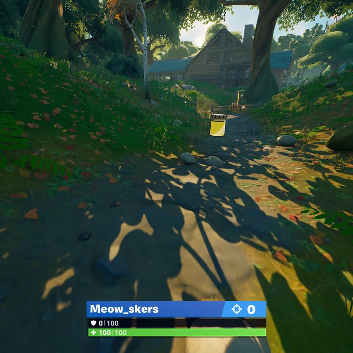 Weeping Woods bridge Color Bottle location in Fortnite.