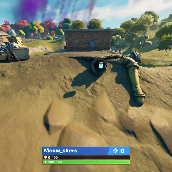 Sludgy Swamp Color Bottle location in Fortnite.