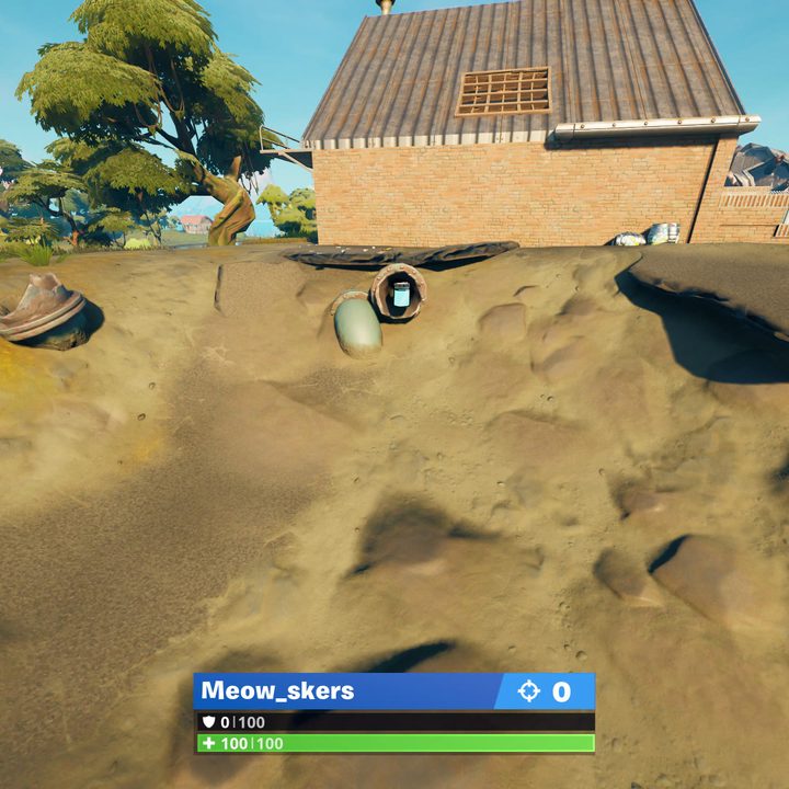 Sludgy Swamp Color Bottle location in Fortnite.