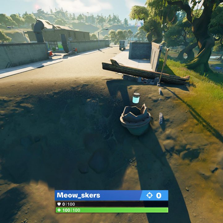 Sludgy Swamp Color Bottle location in Fortnite.