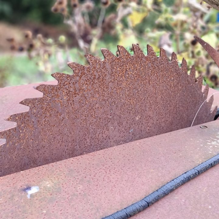 Galaxy S21 Ultra portrait photo of a saw.