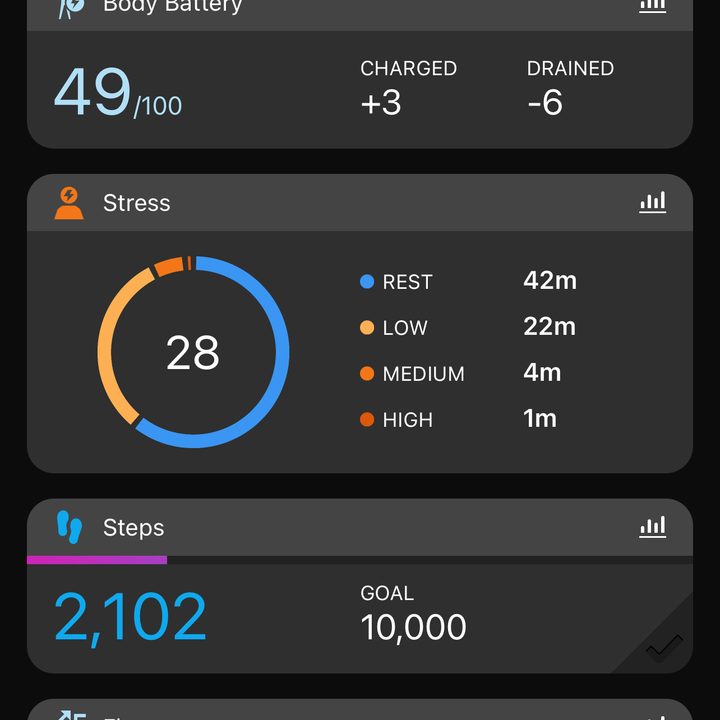 Garmin Enduro review