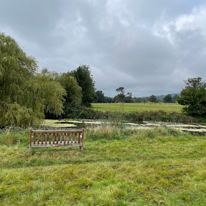 iPhone 12 Pro photo of a seat and pond.