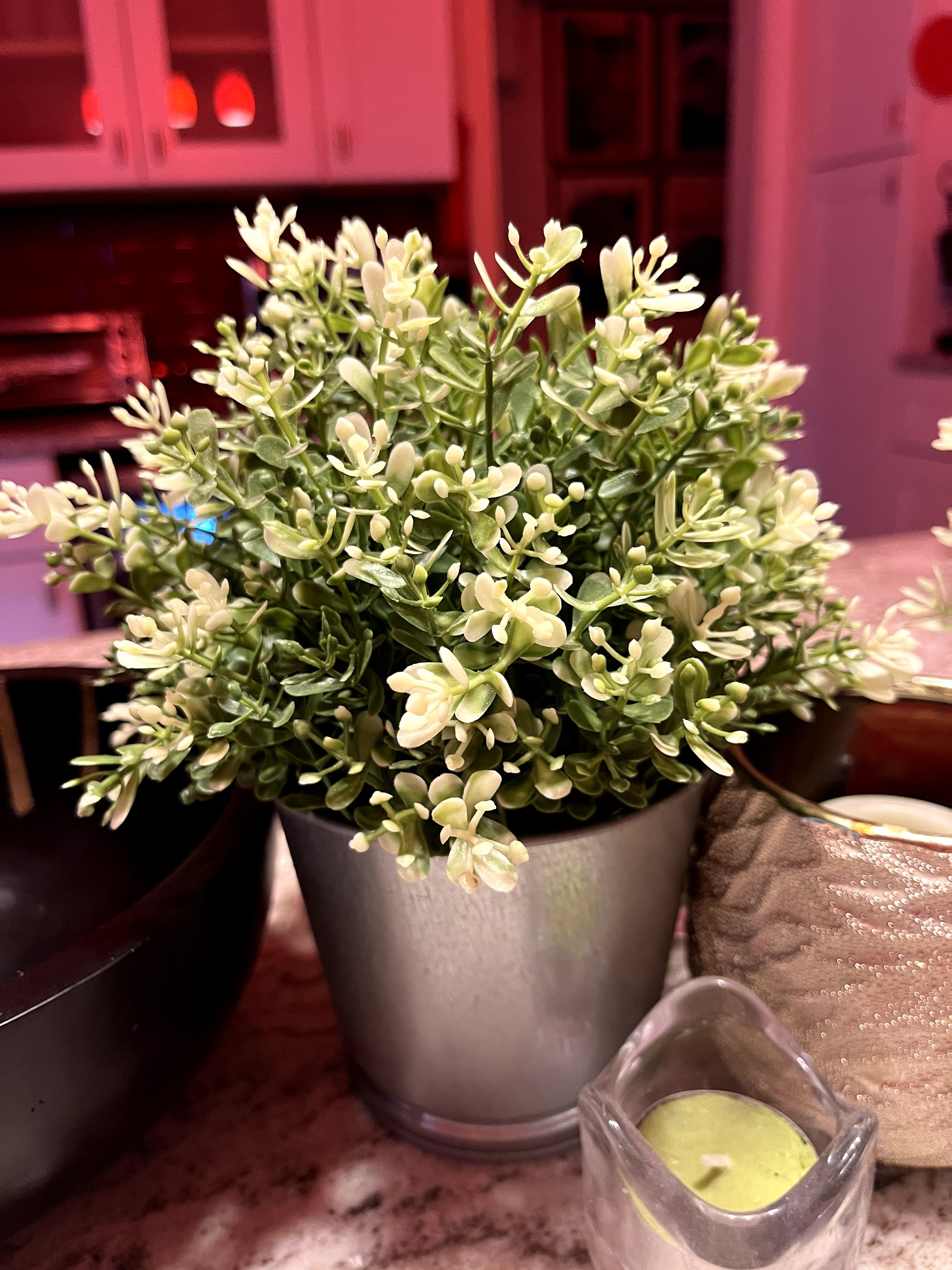 iPhone 13 Image Sample