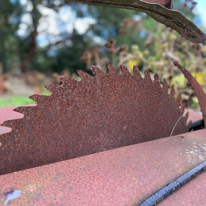 A portrait mode photo of a saw, taken by the iPhone 13 Pro.