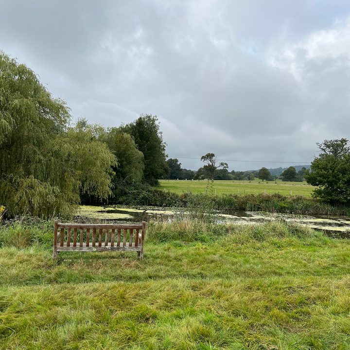 IPhone 13 Pro photo of a seat and pond.