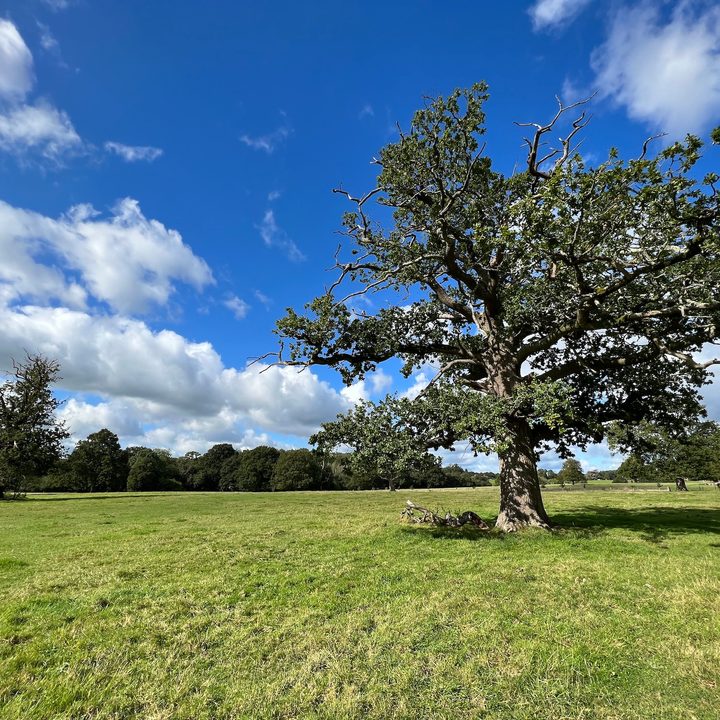 A wide-angle photo taken by the iPhone 13 Pro.