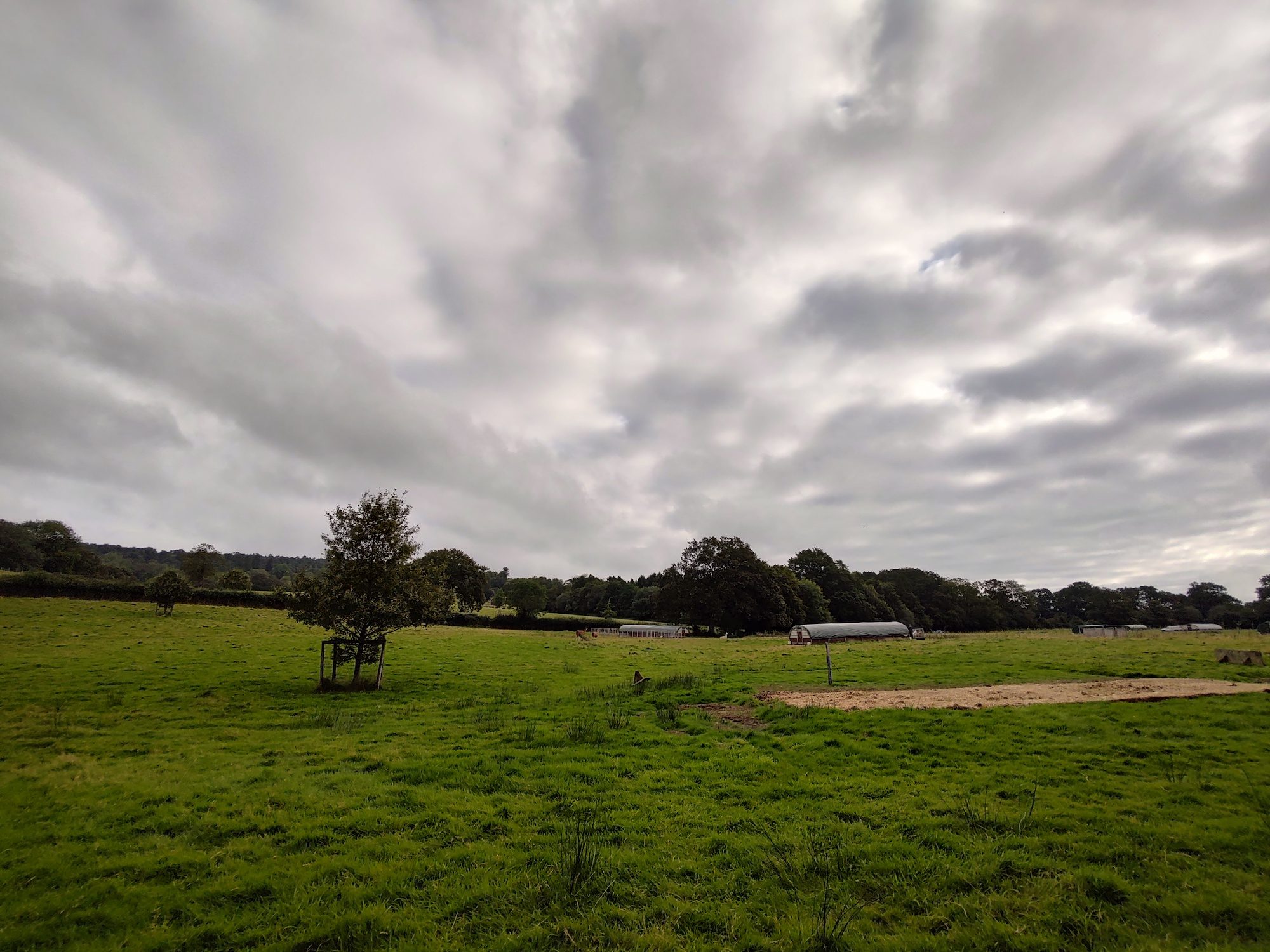 Wide-angle photo taken with the Moto Edge 20 Pro.