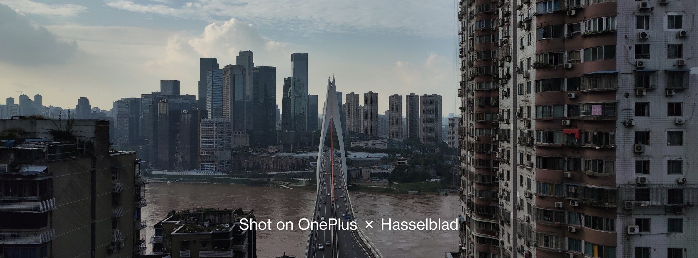 XPan Color OnePlus 9 sample image 3