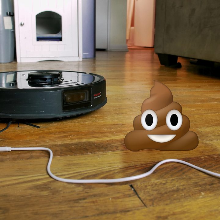 Roborock S6 MaxV avoiding poop on floor.