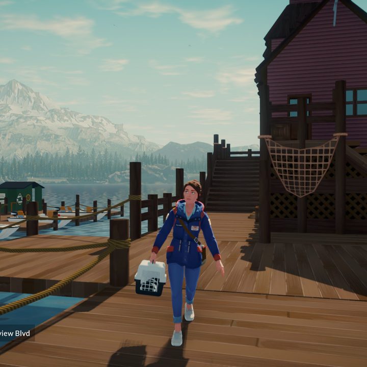 A mailwoman carries a package on a pier in Lake.