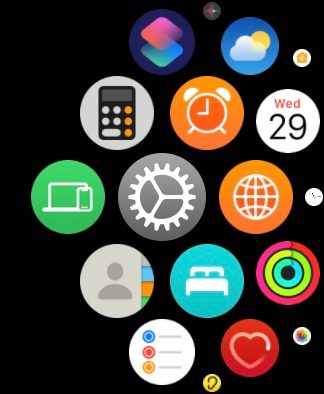 Apple watch update Settings.