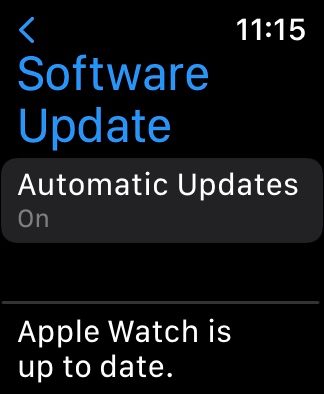 Apple watch update final screen.