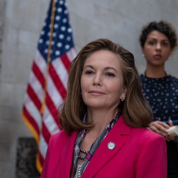 Diane LAne in a scene from Y: The Last Man.
