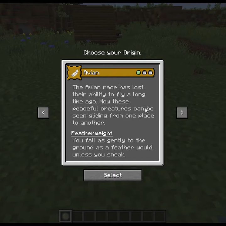 The description of the avian class.