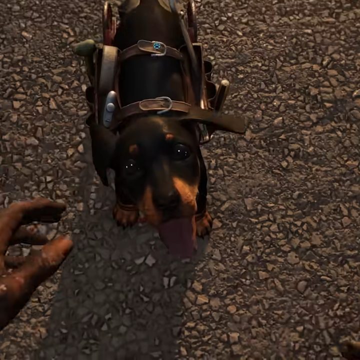Reaching out to pet Chorizo.