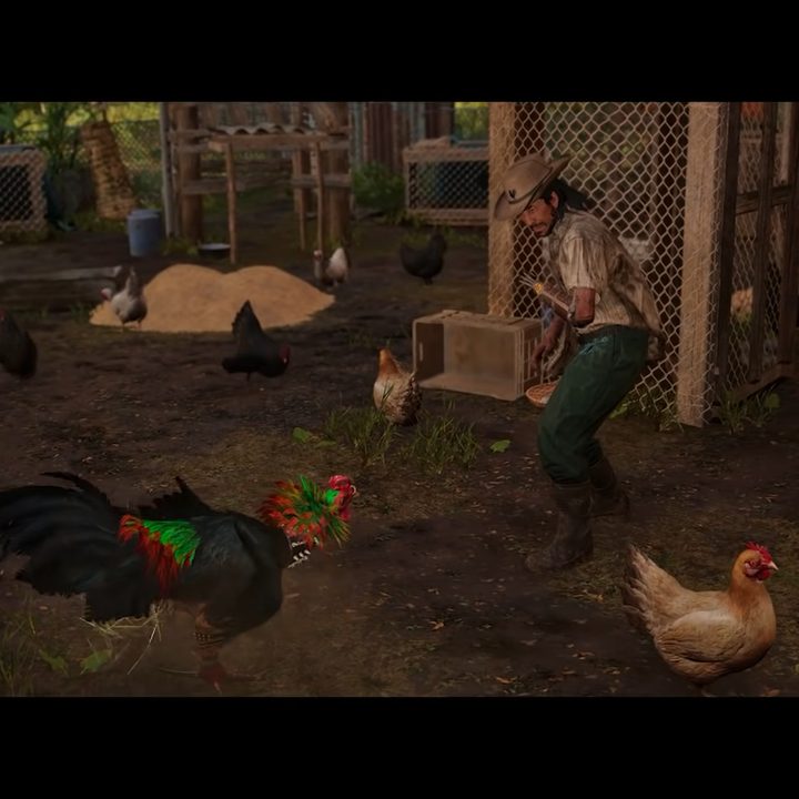 A colorful rooster attacking a man.