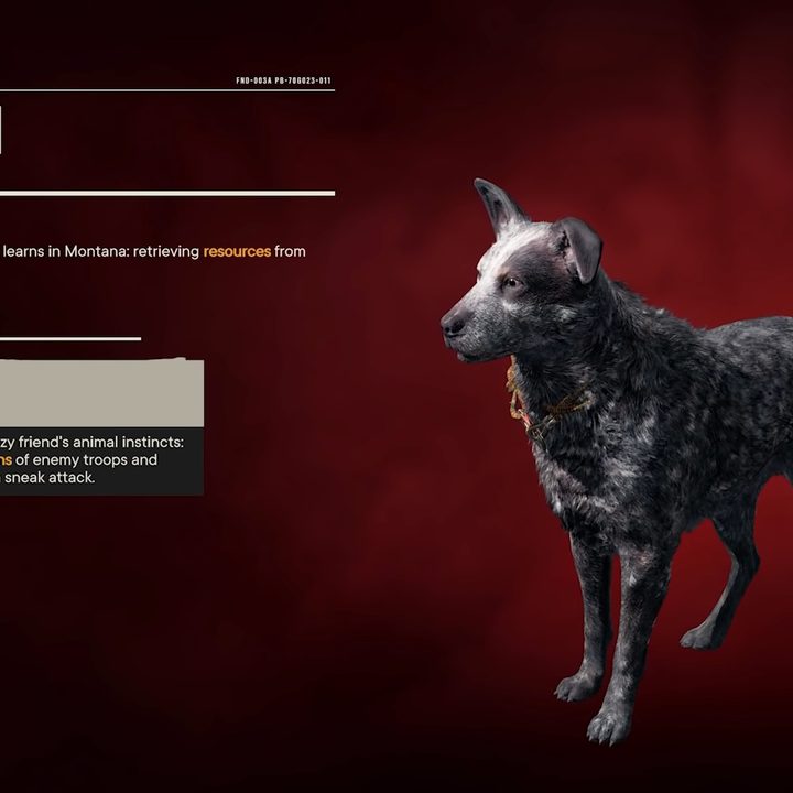 Boom Boom the dog.