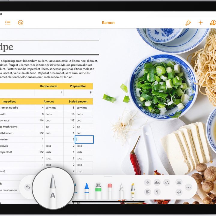 Apple Scribble use case.