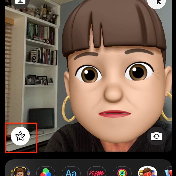 Memoji in Facetime.