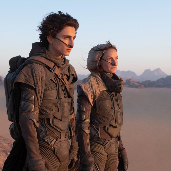 Timothee Chalamet and Rebecca Ferguson gaze into the desert in Dune.