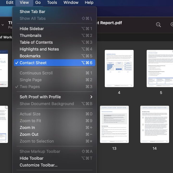 A screenshot of the view menu showing the contact sheet option.