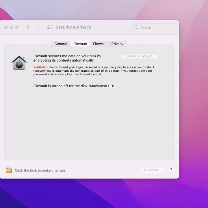 File Vault in MacOS Settings Page.