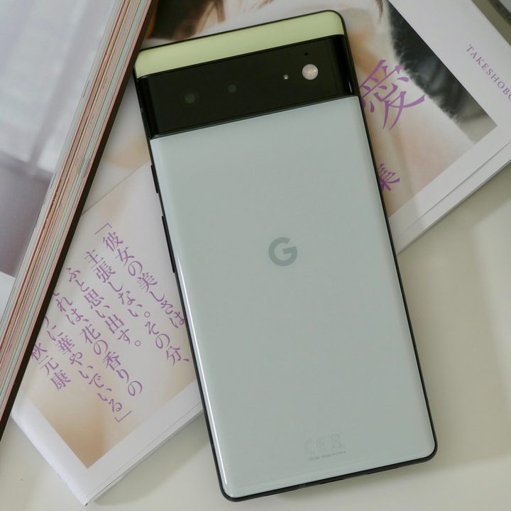 The back of the Pixel 6.