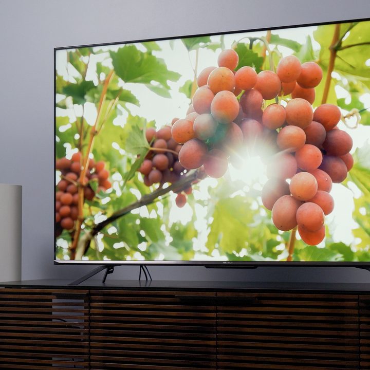 Image on berries on a tree being shown on the Hisense U7G TV.