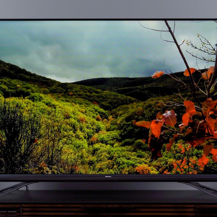Fall woods image on the Hisense U9DG TV.