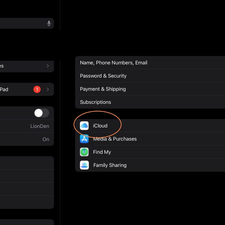 Choose iCloud in your iOS account settings.
