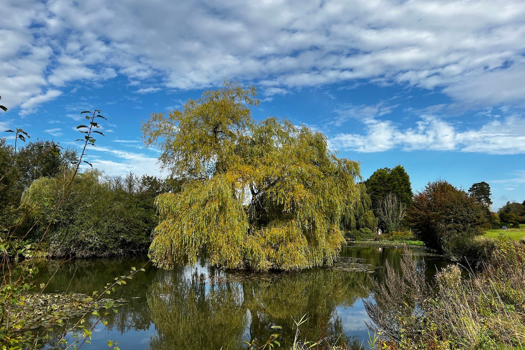 Rich Contrast Photographic Style photo taken with the iPhone 13 Pro.