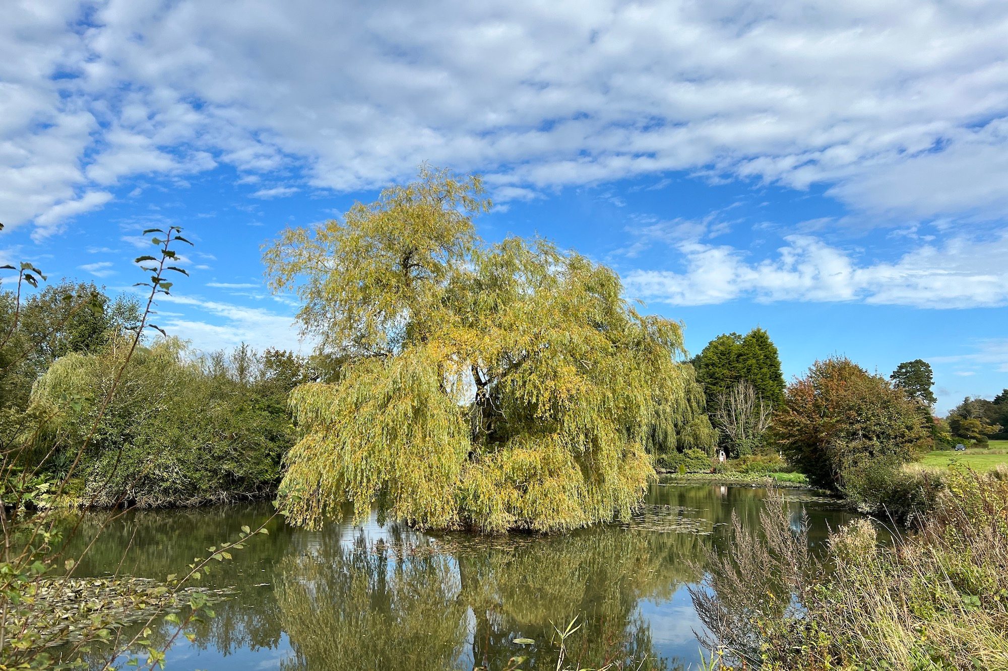 Standard photo taken with the iPhone 13 Pro.