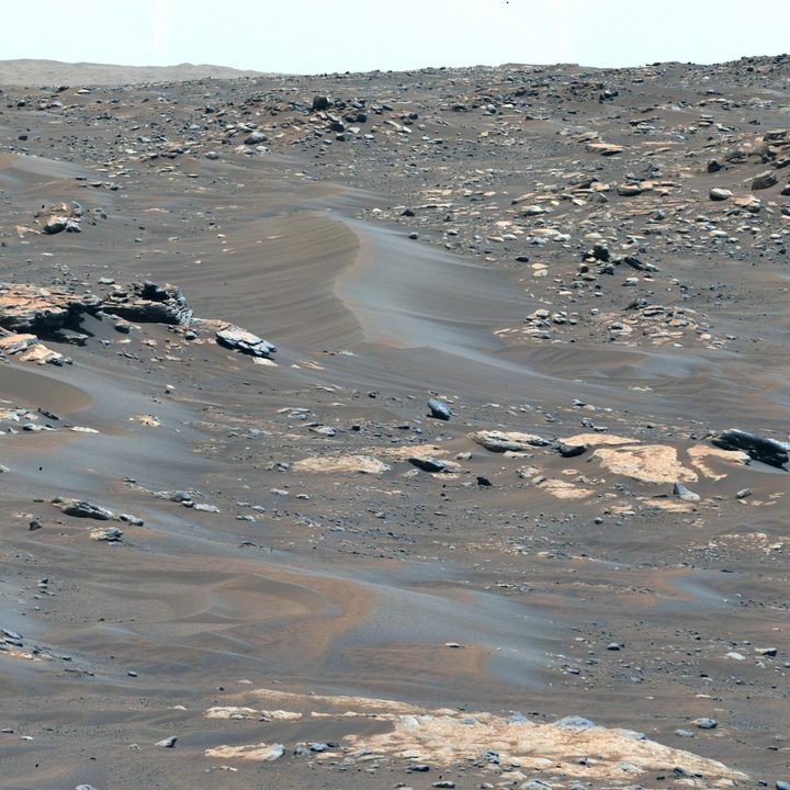 Cropped version of a mosaic composed of 84 pictures of the Martian surface taken by the Mastcam-Z imager aboard NASA's Perseverance rover.