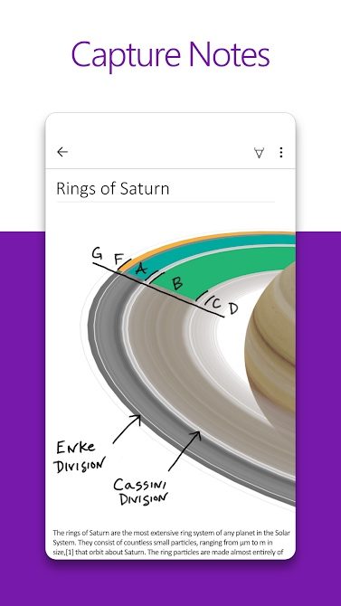 Microsoft OneNote organize notes.