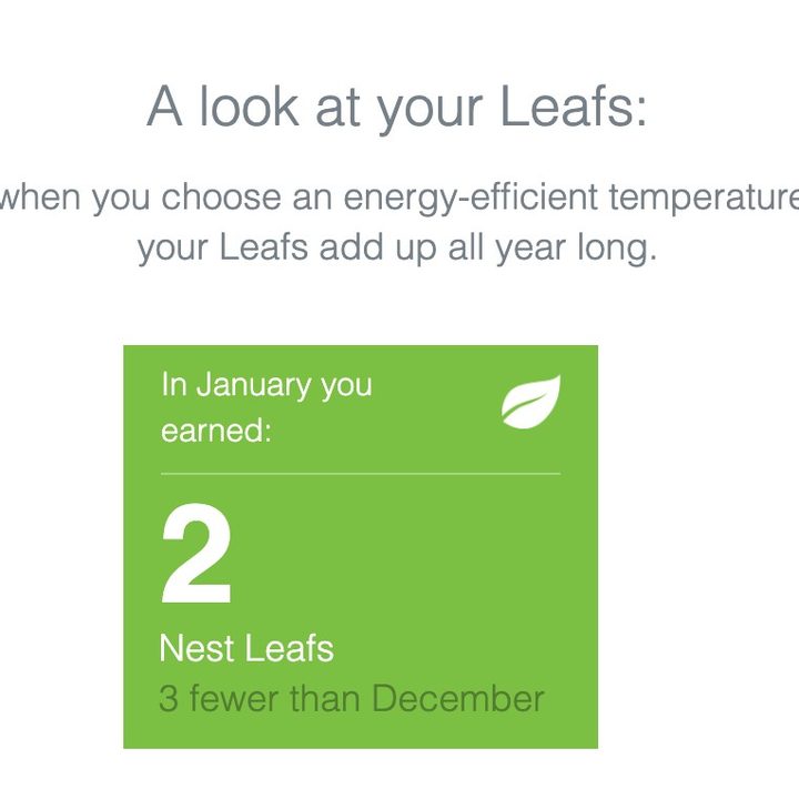 Nest Leafs report.