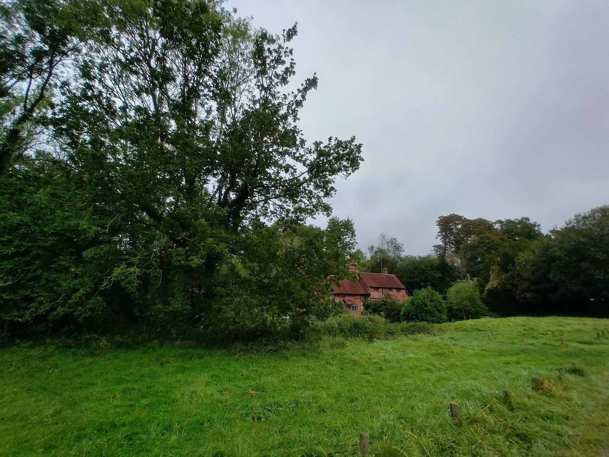 Wide-angle photo of a house taken with the Nokia G50.