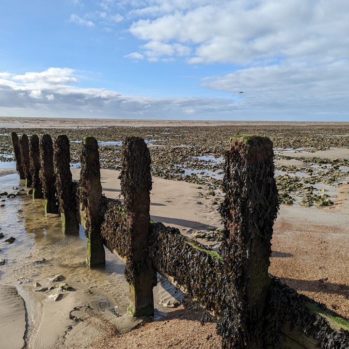 Pixel 6 Pro beach photo.