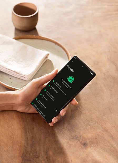 google pixel 6 pro leak launch security page