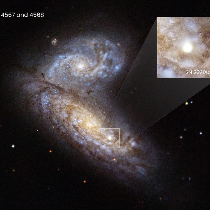 Astronomers recently witnessed supernova SN 2020fqv explode inside the interacting Butterfly galaxies.