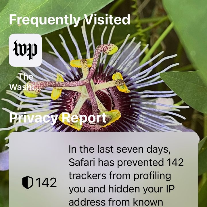 how to manage safari tabs in ios 15 tg1
