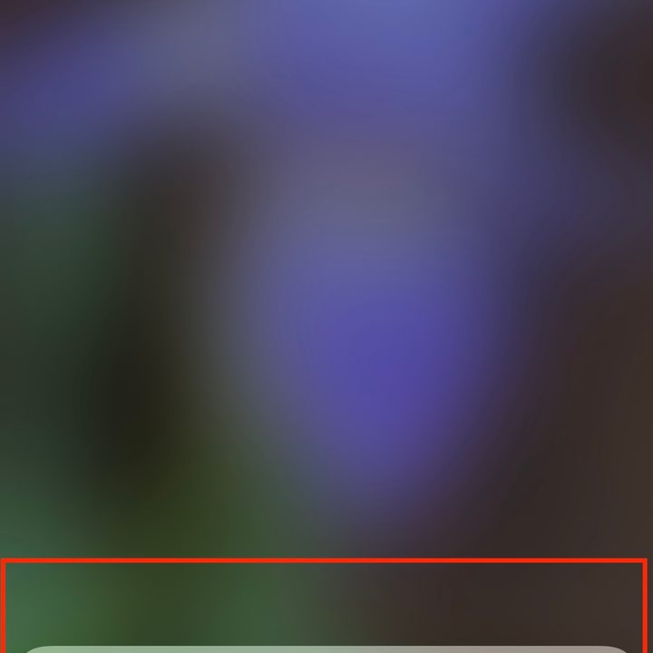 FaceTime interfaces via iPhone with Siri.