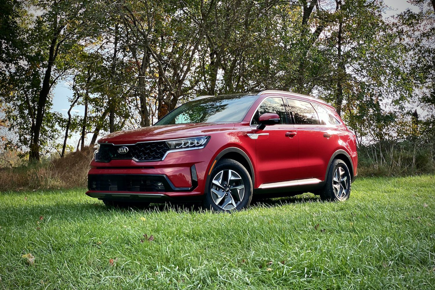 Front end of the 2021 Kia Sorento Hybrid from the driver's side in a grassy field.
