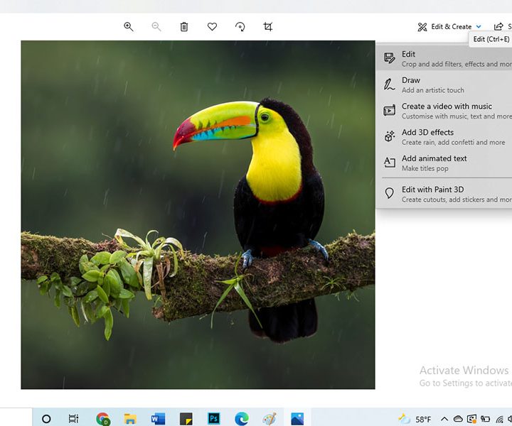 Step 3 of how to convert an HEIC image to a JPEG image.