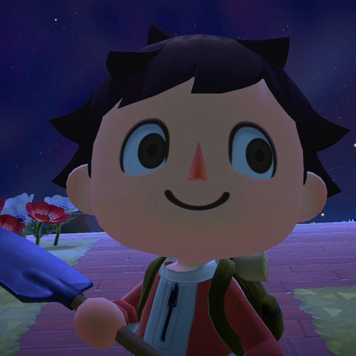 Animal Crossing player staring into the camera.