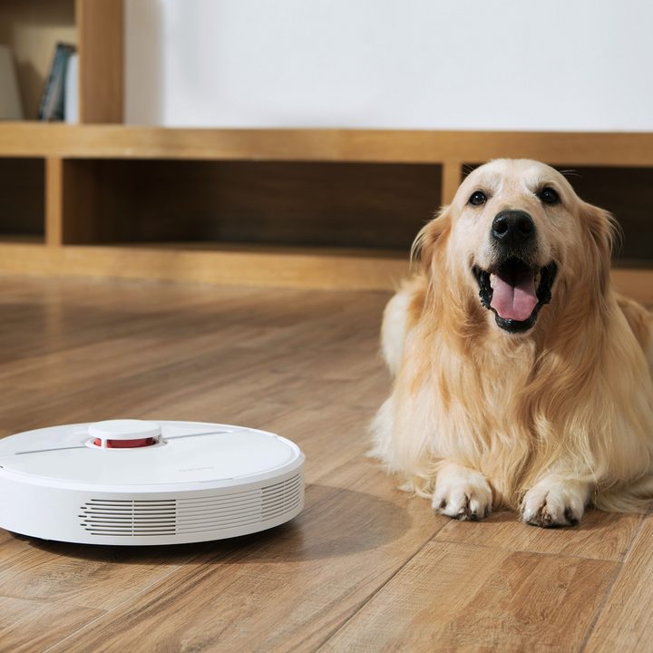 Dreame D9 Robot Vacuum cleaning near lovely pup resting nearby.